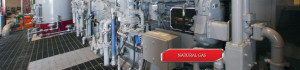 Homax-Natural-Gas_new